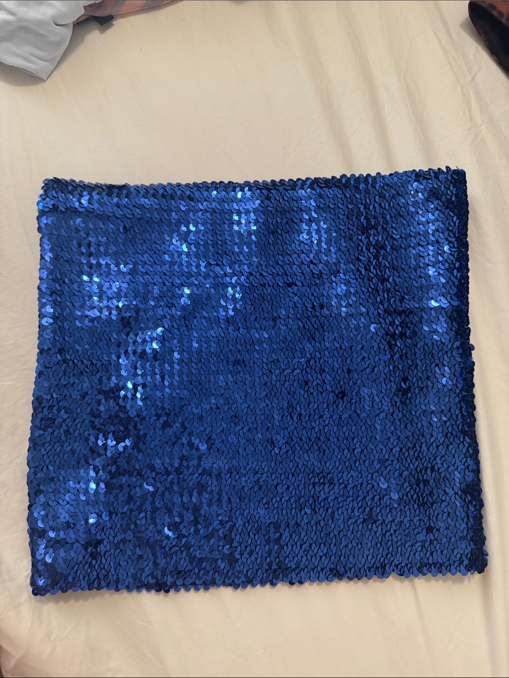 Blue Sequin Skirt